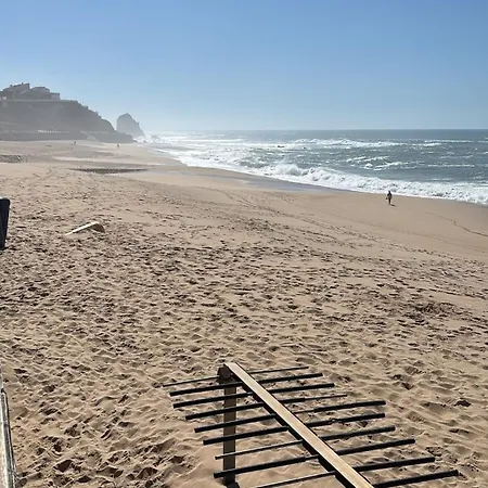 Quiet Modern Countryside With Private Pool Near Lisbon 빌라 아 도스 쿤하도스